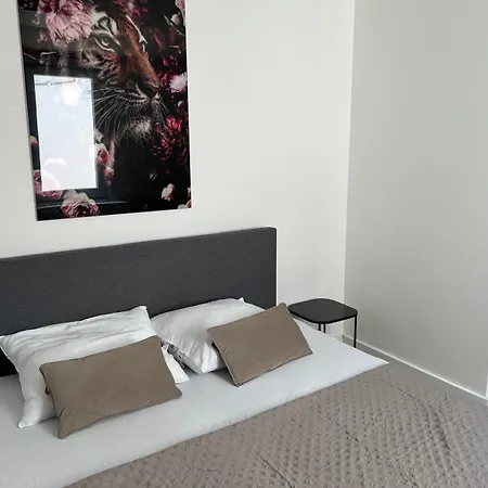 2 Bedroom On Ground Floor In Vrijheidstraat 3 Apartment *