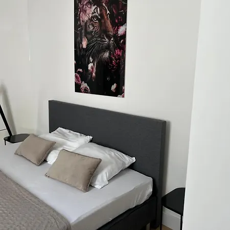 Apartment 2 Bedroom On Ground Floor In Vrijheidstraat 3 *