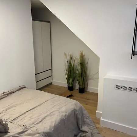 Apartment 2 Bedroom On Ground Floor In Vrijheidstraat 3